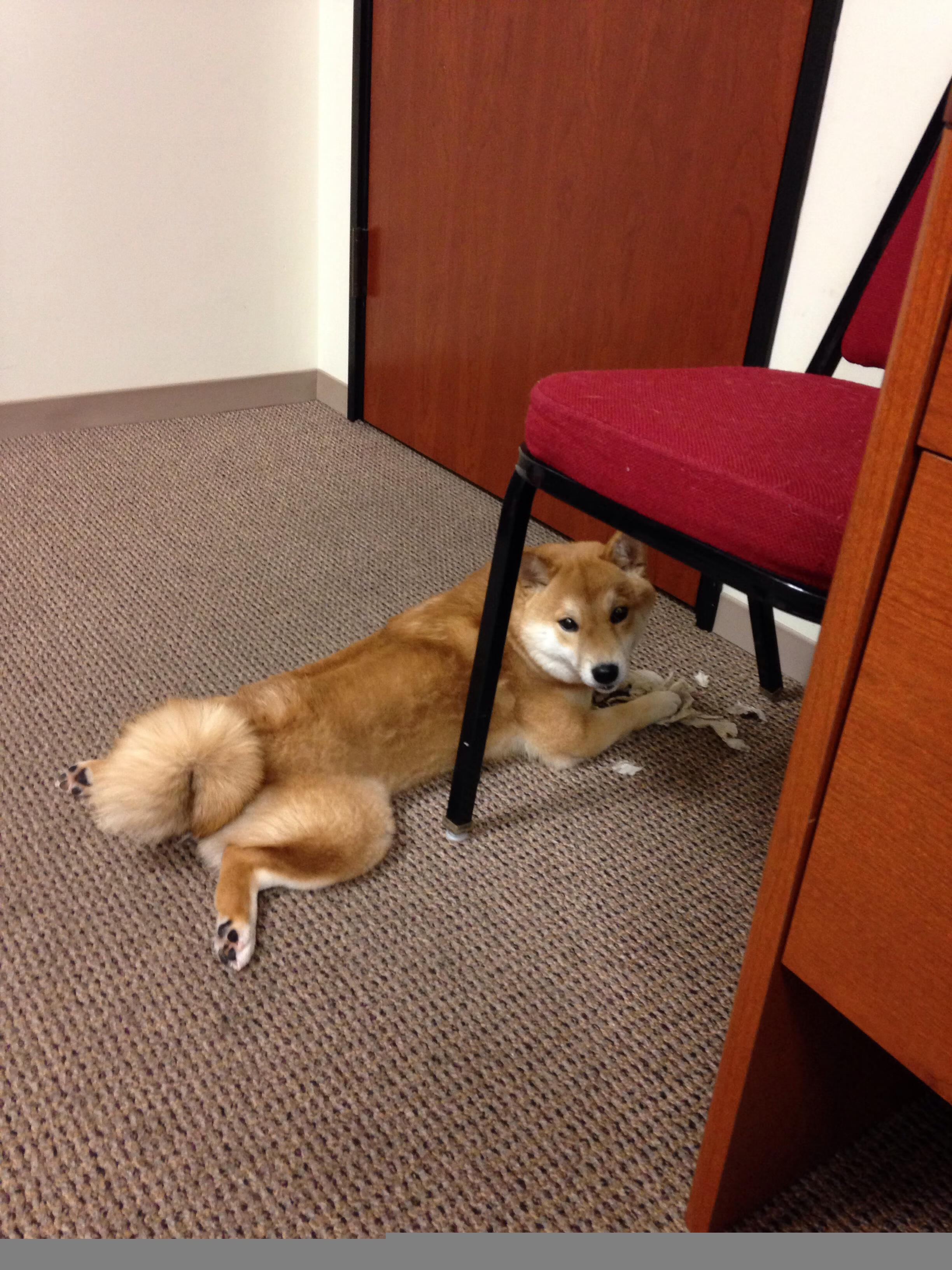 华体会官网-厄德高欧冠淘汰赛接管比赛，如瑞典打穿委内瑞拉般的征服艺术